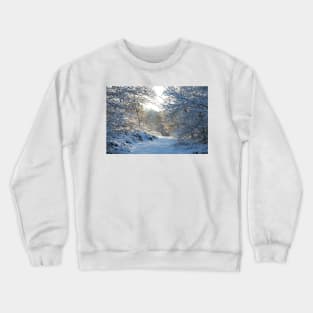 Winter Walk Crewneck Sweatshirt